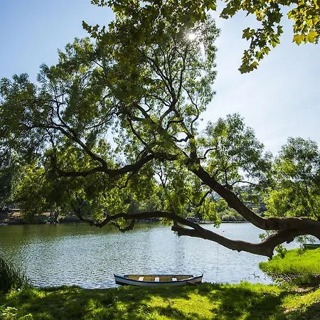 Des Arts Hostel Amarante